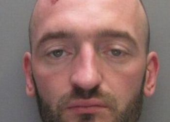 crooks-'live-streamed'-police-chase-on-snapchat-after-trying-to-steal-farm-equipment