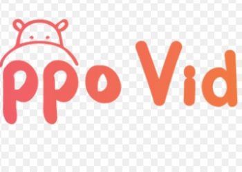 sumoday-offer-hippo-video:-appsumo-lifetima-deal-for-$59.00