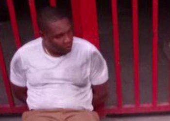 haitian-american-suspect-in-haitian-president's-assassination-had-nonprofit-organization-in-broward