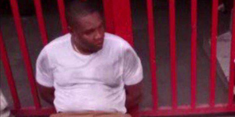 haitian-american-suspect-in-haitian-president's-assassination-had-nonprofit-organization-in-broward