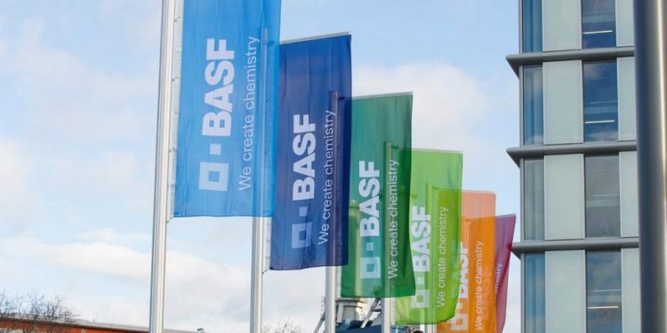 basf,-linkedin-and-natura-and-visa-launch-inclusivity-program-for-transgender-people