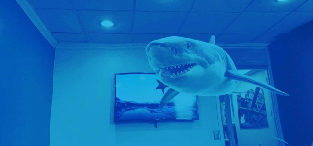 dive-into-shark-week-with-these-snapchat-ar-lenses