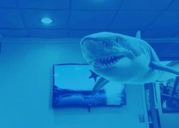 dive-into-shark-week-with-these-snapchat-ar-lenses