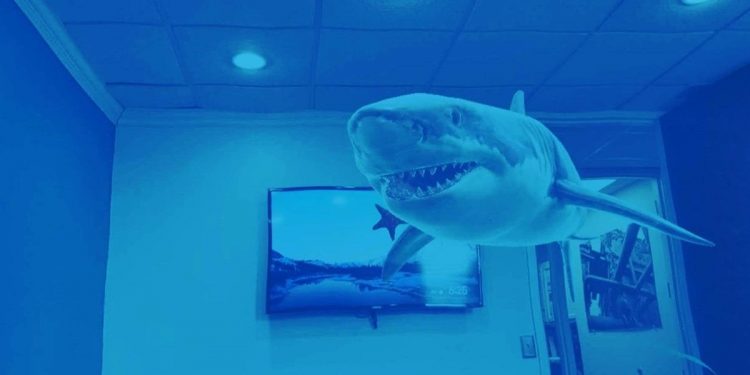 dive-into-shark-week-with-these-snapchat-ar-lenses
