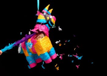 exclusive:-months-after-launch,-meme-maker-pinata-farms-landed-a-$100-million-valuation-in-a-…