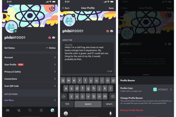 discord-now-lets-you-customize-your-user-profile-on-its-apps