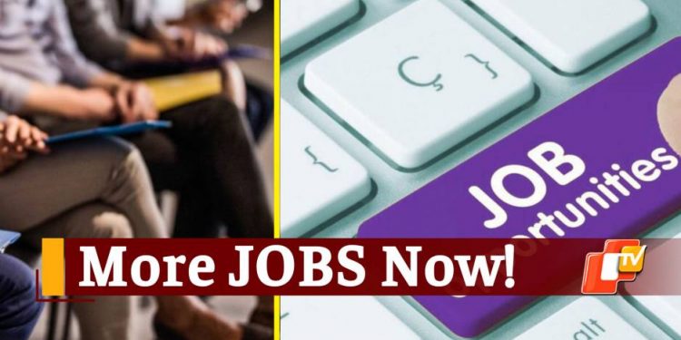 job-supply-increasing-as-per-linkedin;-know-who're-more-likely-to-get-hired
