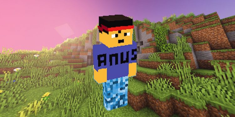 the-bizarre-minecraft-meme-penis-smp-has-spawned-a-world-of-its-own