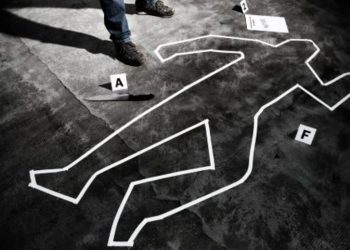 three-sa-prison-officers-questioned-then-suspended-amid-nsw-crime-scene-photo-leak-inquiry