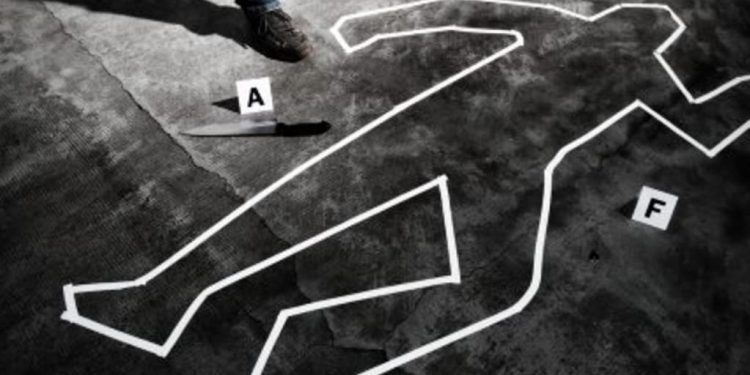 three-sa-prison-officers-questioned-then-suspended-amid-nsw-crime-scene-photo-leak-inquiry