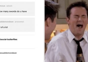 16-tumblr-replies-that-made-me-laugh-to-myself-at-my-desk