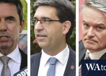 secret-liberal-whatsapp-group-probed-in-post-mortem-of-wa-party's-election-wipe-out