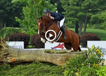 watch-why-they-won:-cannon-creek-soars-to-platinum-performance-ushja-international-…