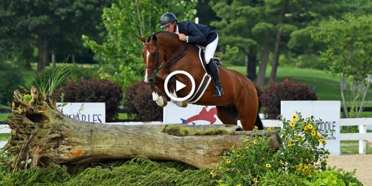 watch-why-they-won:-cannon-creek-soars-to-platinum-performance-ushja-international-…