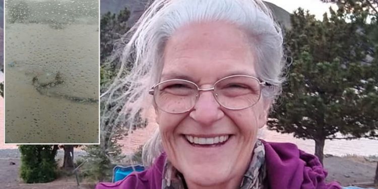 tennessee-mother-drowns-after-filming-rising-floodwaters-on-facebook-–-new-york-post