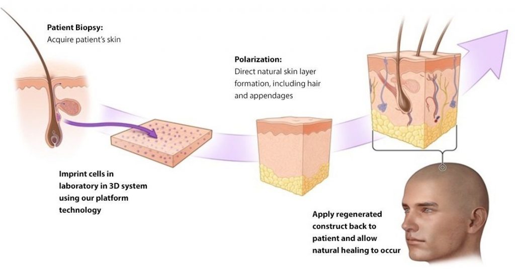 manufacturing-issues-force-delay-for-polarityte's-skin-repair-hopeful-|-fiercepharma