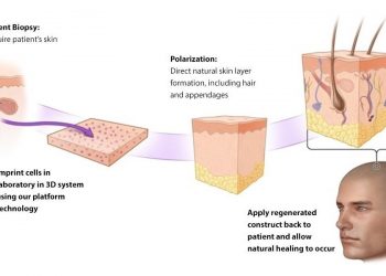 manufacturing-issues-force-delay-for-polarityte's-skin-repair-hopeful-|-fiercepharma