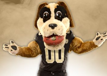 saints-gameday-playbook:-what-you-need-to-know-for-saturday,-aug.-28-–-new-orleans-saints