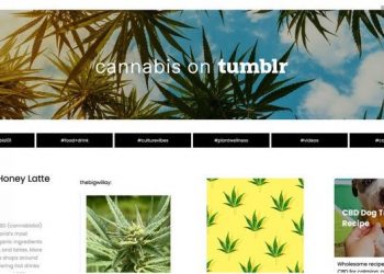 tumblr-has-launched-a-dedicated-cannabis-blog,-and-it's-awesome-|-benzinga