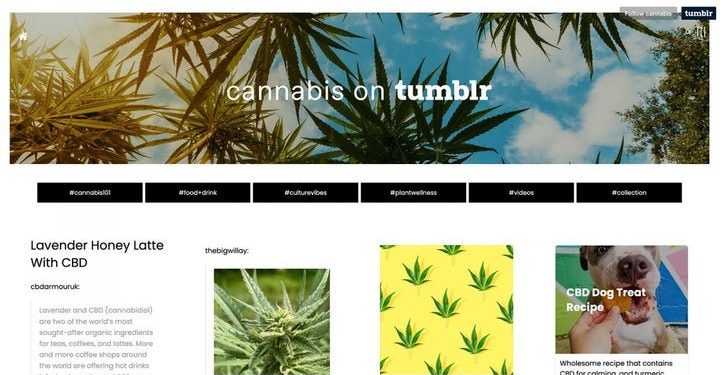 tumblr-has-launched-a-dedicated-cannabis-blog,-and-it's-awesome-|-benzinga