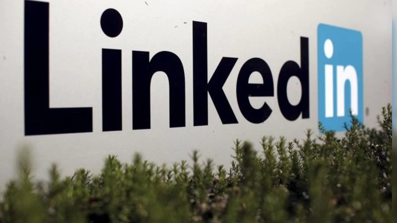 linkedin-removes-story-from-platform-after-twitter-announces-the-same-thing-as-fleet-–-ohio-…