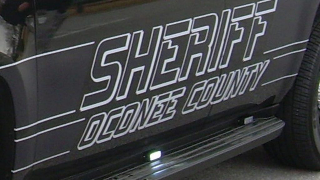 oconee-blotter:-panty-heist-at-walmart,-one-crafty-cow,-an-eye-in-the-sky-–-online-athens