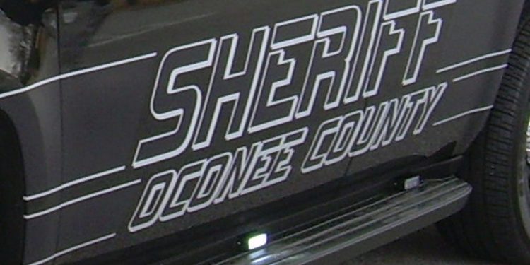 oconee-blotter:-panty-heist-at-walmart,-one-crafty-cow,-an-eye-in-the-sky-–-online-athens