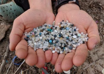 shoreline-documentary-brings-awareness-to-plastic-pollution-in-lake-ontario-–-kingstonist