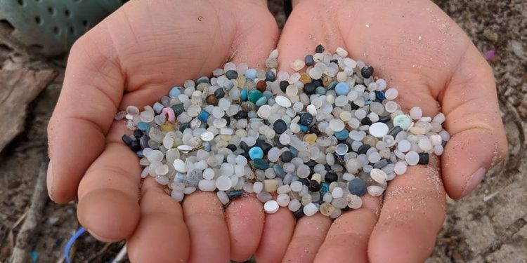 shoreline-documentary-brings-awareness-to-plastic-pollution-in-lake-ontario-–-kingstonist
