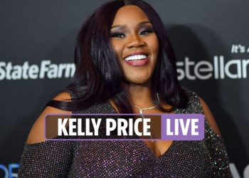 kelly-price-missing-updates-–-singer-vanishes-after-revealing-covid-battle-on-instagram-…-–-the-sun