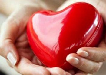 world-heart-day:-heart-patients-may-now-consult-doctors-via-whatsapp-video-call-in-gurugram