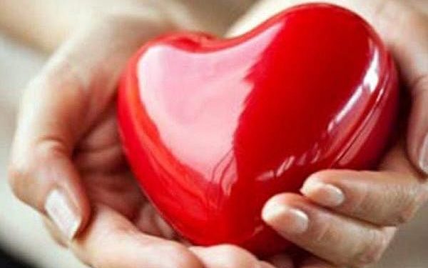 world-heart-day:-heart-patients-may-now-consult-doctors-via-whatsapp-video-call-in-gurugram
