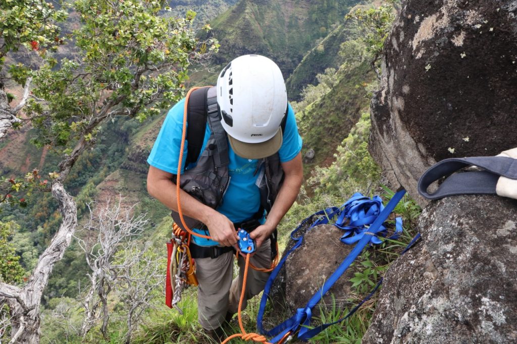 new-documentary-follows-the-botanists-who-rappel-down-cliffs-in-effort-to-save-hawaii's-plant-…