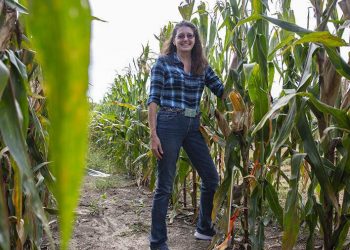 waverly-farmer's-facebook-page-shows-single-stalk-of-corn-growing;-500-people-and-15-…