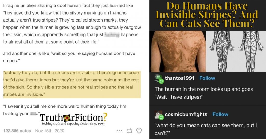 'humans-have-stripes'-–-truth-or-fiction?