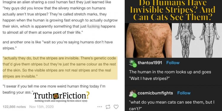 'humans-have-stripes'-–-truth-or-fiction?