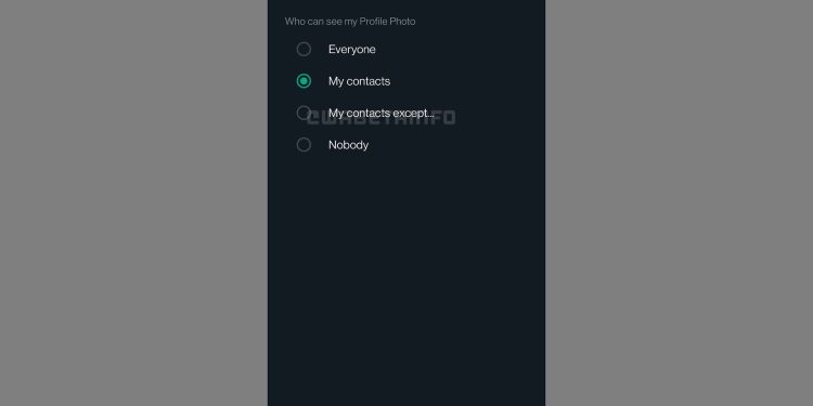 whatsapp-unveils-development-on-new-feature-for-custom-privacy-settings-/-digital-…