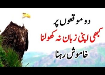 short-islamic-quotes-in-urdu-–-networksasia.net