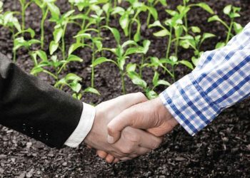 ott-market-:-facebook,twitter,linkedin,netflix,google,skype-(microsoft-corporation),amazon-…