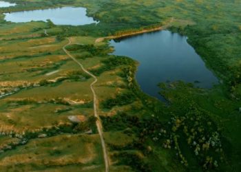 the-80,000-acre-turkey-track-ranch-in-texas-might-sell-for-$200-million-|-the-daily-caller
