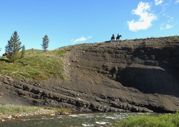 opinion:-foreign-cash-is-trying-to-influence-projects-—-for-coal-mines-|-calgary-herald