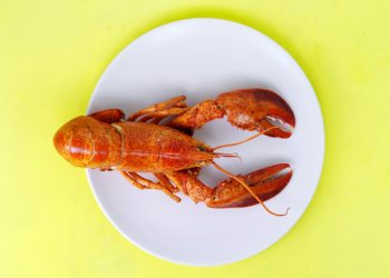 upper-salford-thieves-had-a-hunger-for-seafood-–-the-sanatoga-post