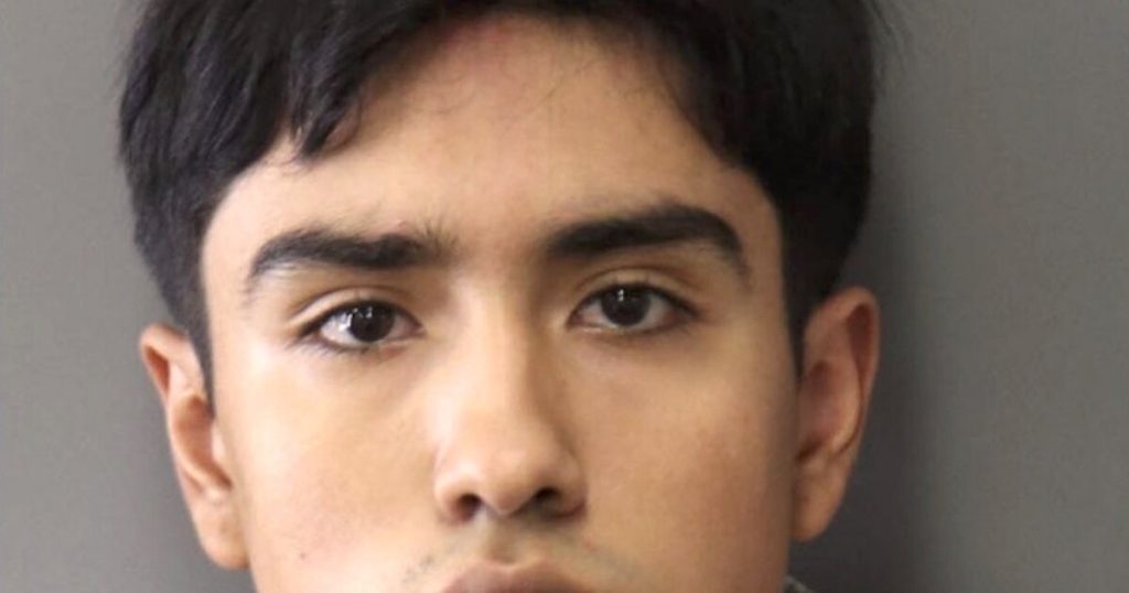 riverside-man-who-abused-puppy-in-social-media-videos-gets-2-years-in-prison-–-los-angeles-times