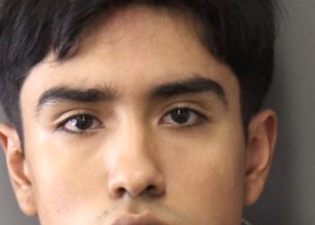 riverside-man-who-abused-puppy-in-social-media-videos-gets-2-years-in-prison-–-los-angeles-times