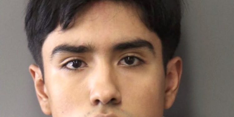 riverside-man-who-abused-puppy-in-social-media-videos-gets-2-years-in-prison-–-los-angeles-times
