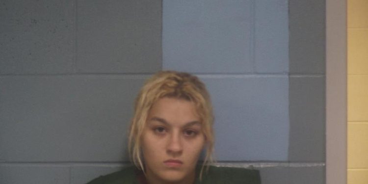 cambridge-woman-pleads-guilty-to-threat-in-snapchat-video-|-news-|-myeasternshoremd.com
