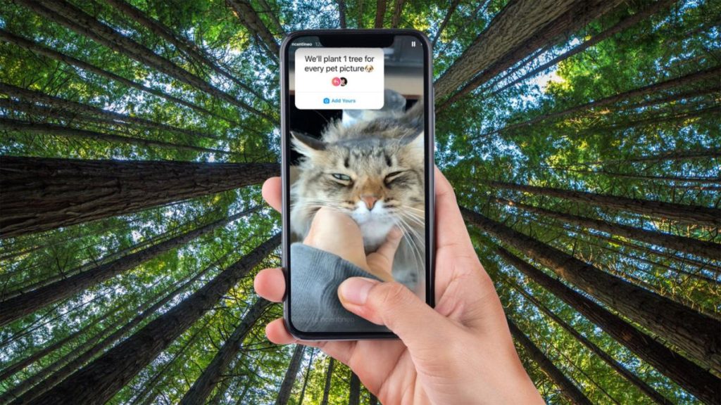 'plant-a-tree-for-every-pet-picture':-creators-of-viral-instagram-trend-revealed-as-plant-a-…-–-7news