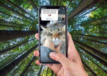 'plant-a-tree-for-every-pet-picture':-creators-of-viral-instagram-trend-revealed-as-plant-a-…-–-7news