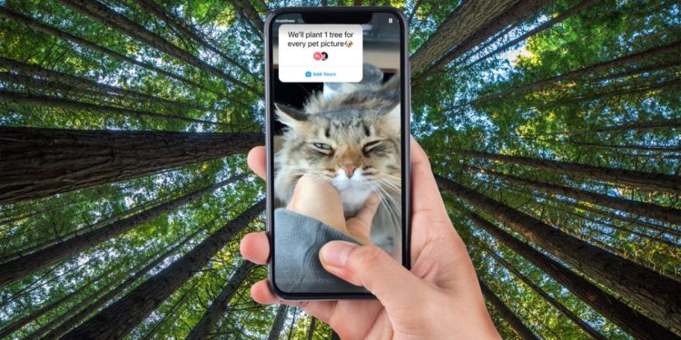 'plant-a-tree-for-every-pet-picture':-creators-of-viral-instagram-trend-revealed-as-plant-a-…-–-7news
