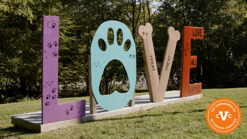 meet-the-cats-and-dogs-your-cvc-donation-supports-|-uva-today